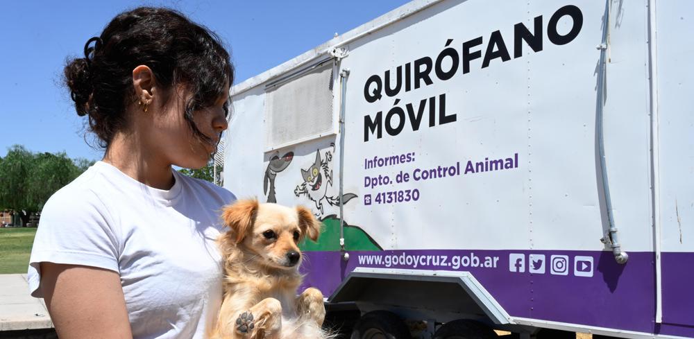 tenencia-responsable-de-mascotas-godoy-cruz-1