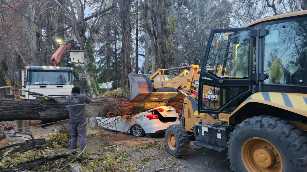 WhatsApp Image 2023-07-21 at 19.36.21