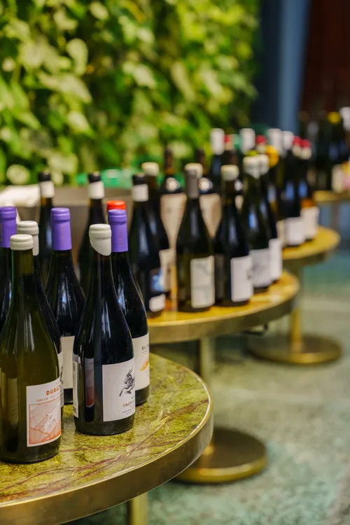 vino argentino