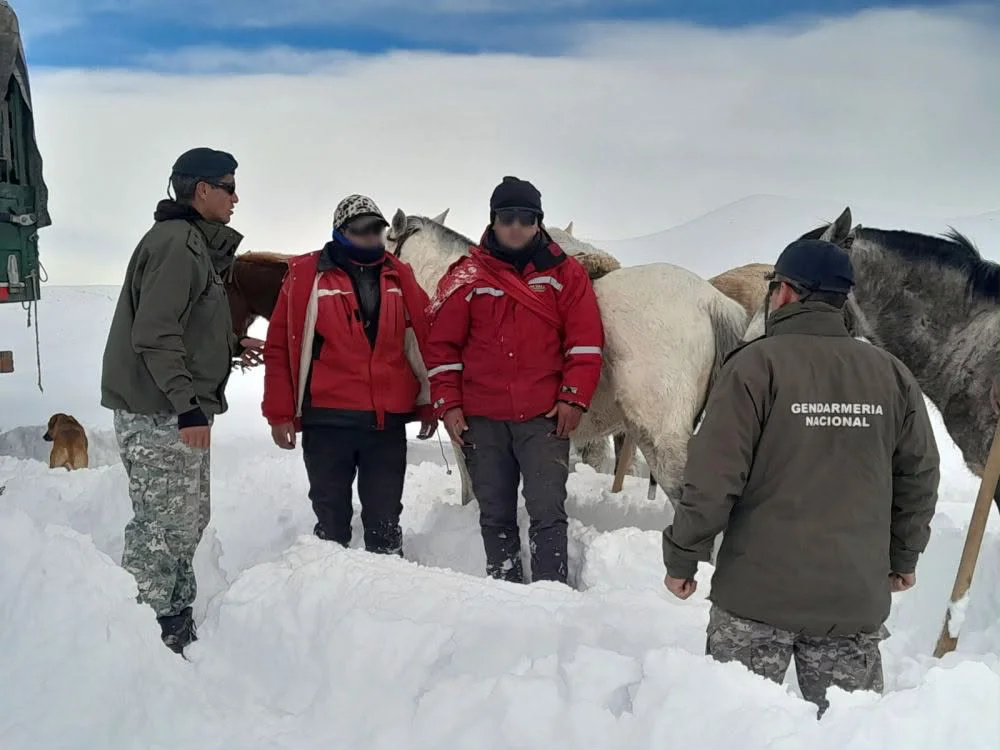 gendarmes nieve