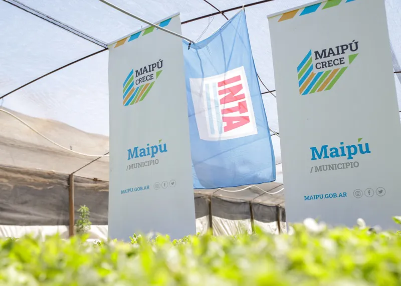 Maipú fomenta la soberanía productiva 1
