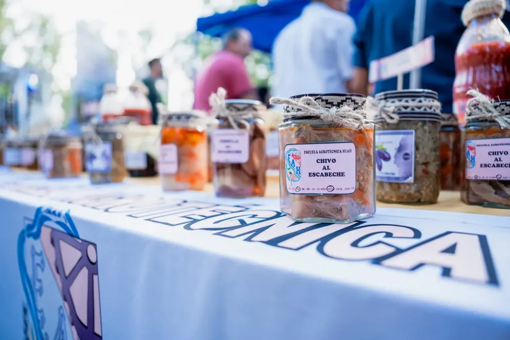 WhatsApp Image 2025-11-15 at 1.59.37 PM