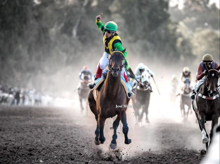 Turf, Patron Santiago 2024, crédito Jose Maluf