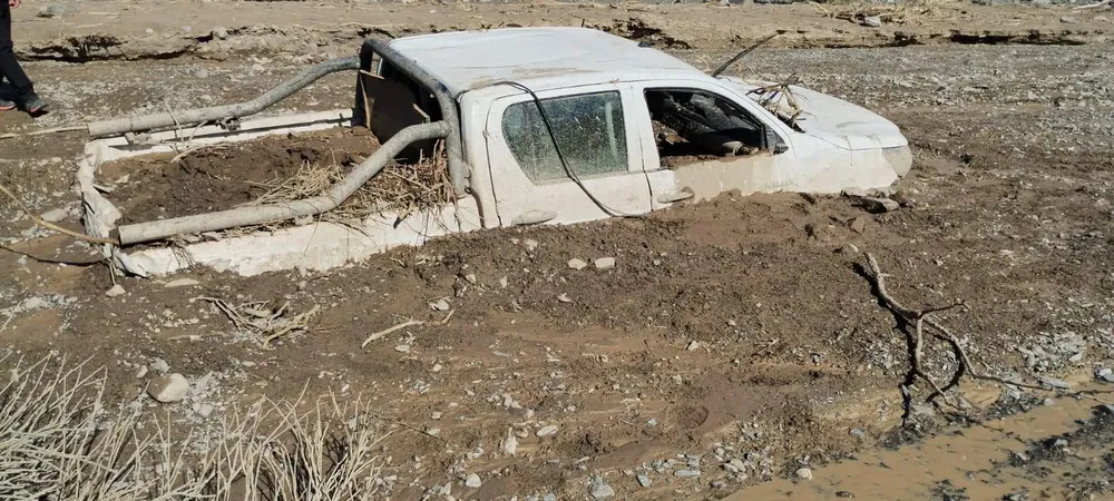 WhatsApp Image 2025-01-18 at 09.14.27 (1)