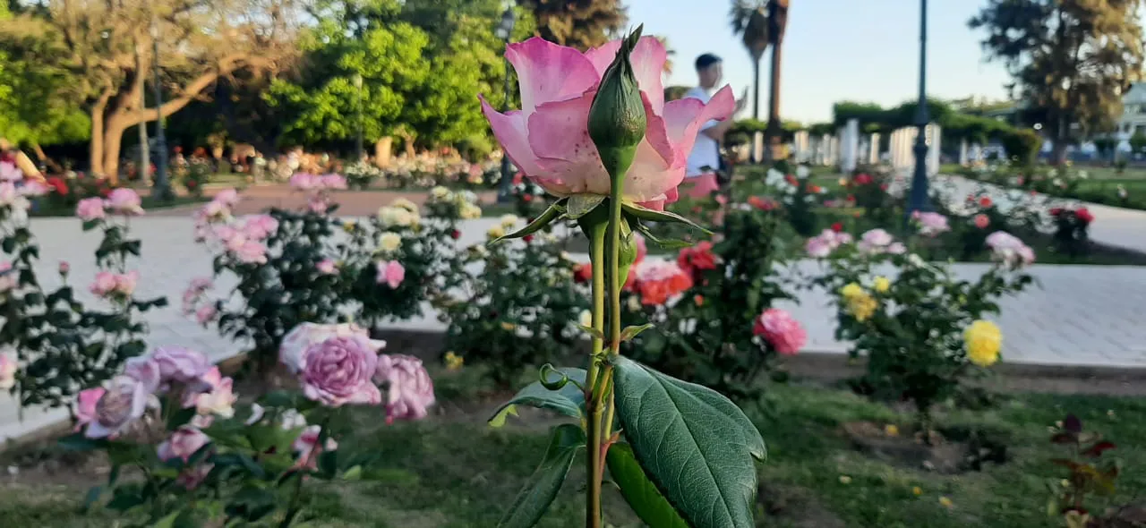 WhatsApp Image 2023-10-27 at 23.36.24 (2)