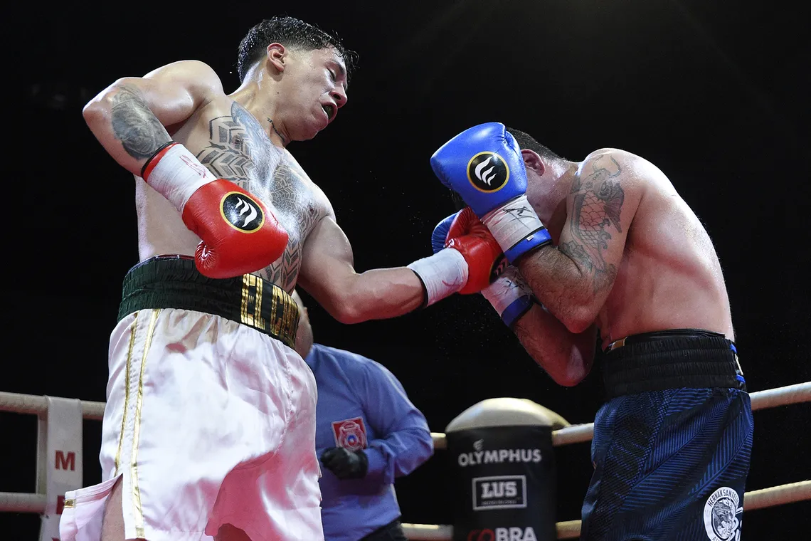 Boxeo, los 4 fantásticos