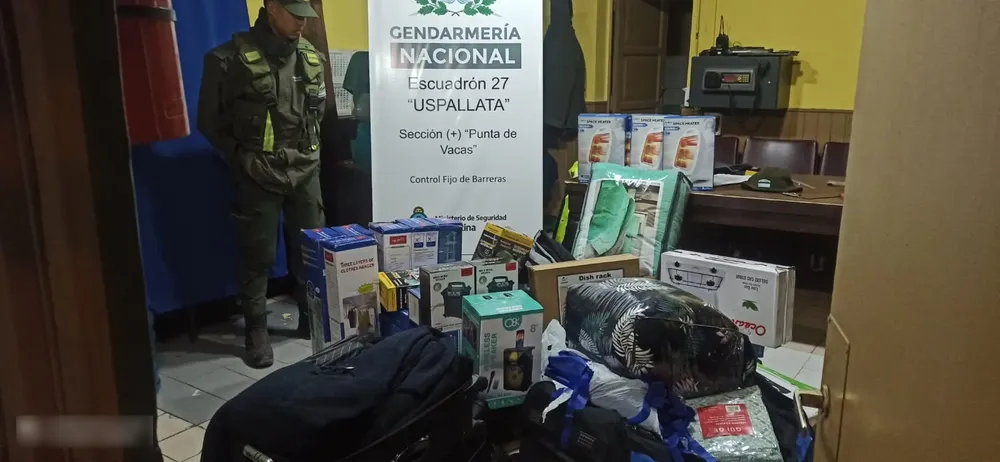 Mercadería contrabando Mendoza (13)