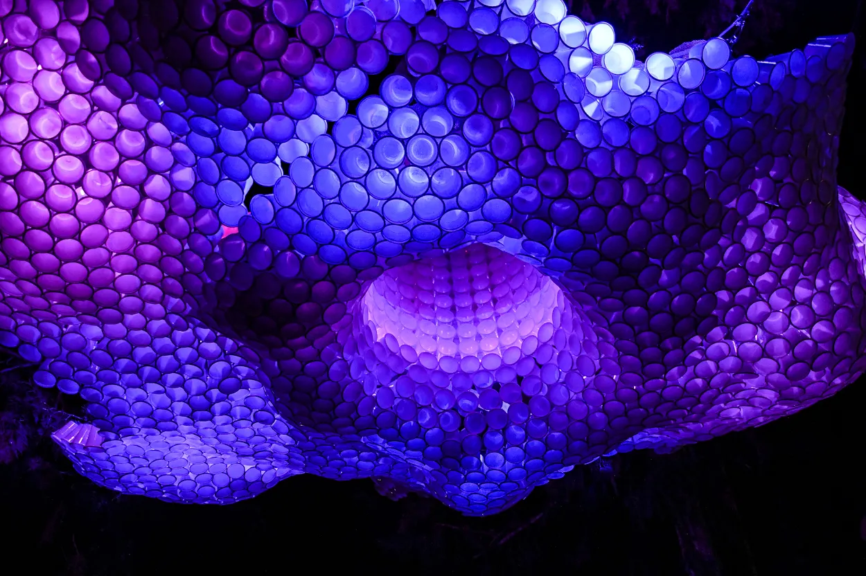 Reflejos eternos (2)