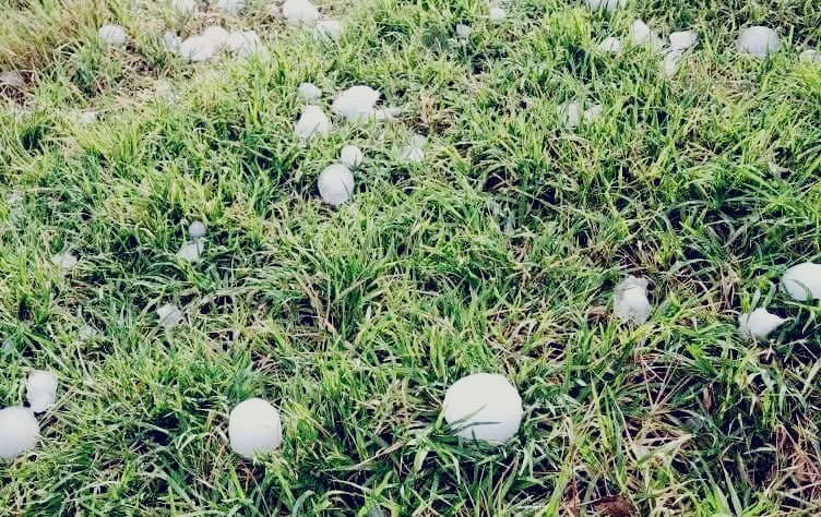 WhatsApp Image 2024-12-23 at 23.43.49