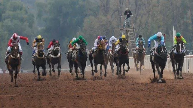Turf, Santo Patrono Santiago