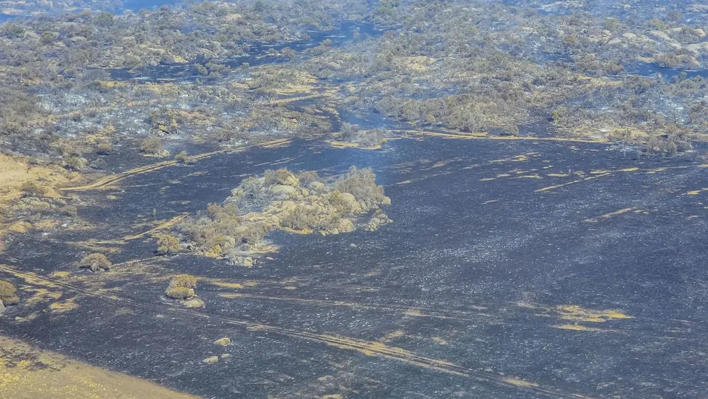 incendios san luis 21092024 7