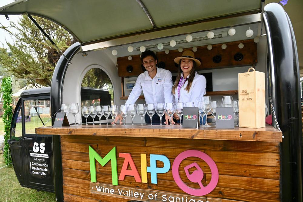 Vendimia del Valle del Maipo 2024