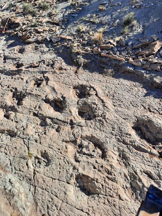 bc05096d-551d-4fd4-8e46-b78f72b70729