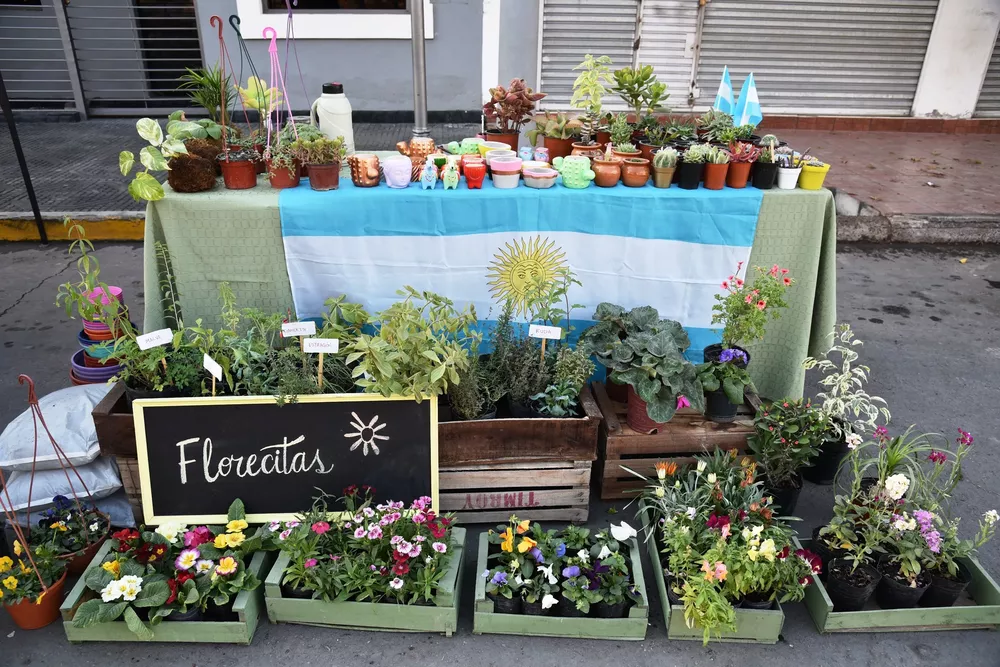 Paseo de Arte Los Corralitos 8