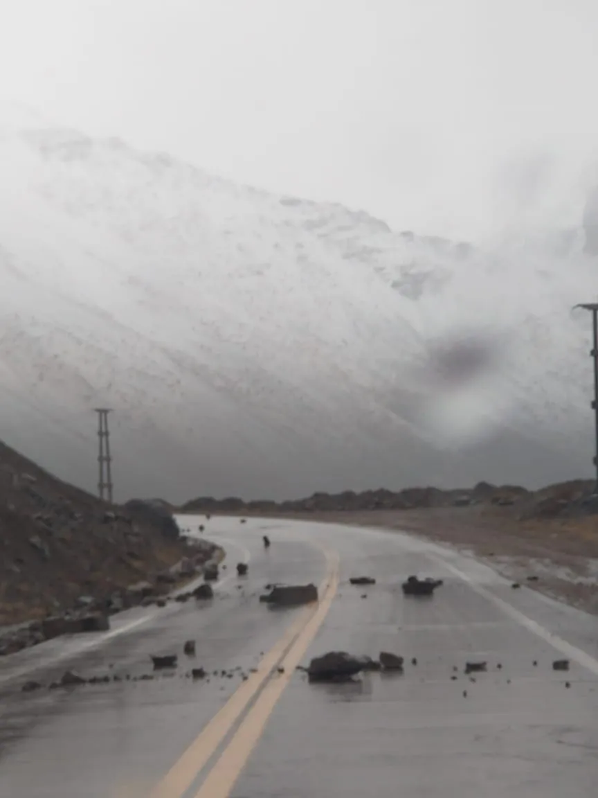 WhatsApp Image 2023-06-23 at 11.42.44