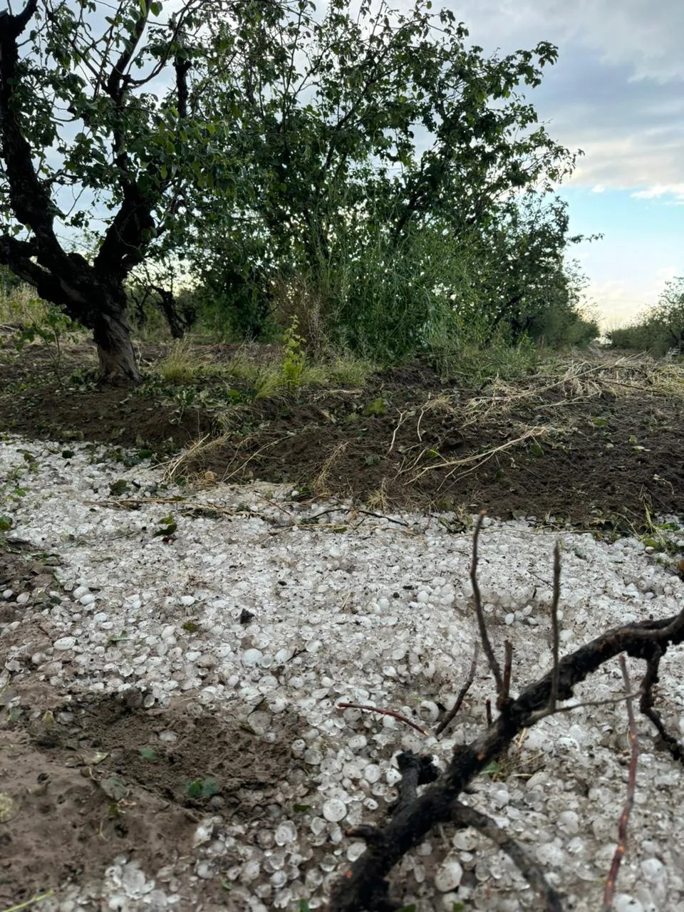 Piedra San Rafael 1112024