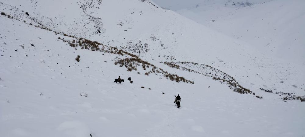 Grupo Rescate Alta Montaña Gendarmería 