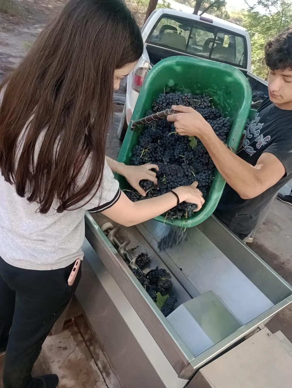 formacion vitivinicola escuelas (2)
