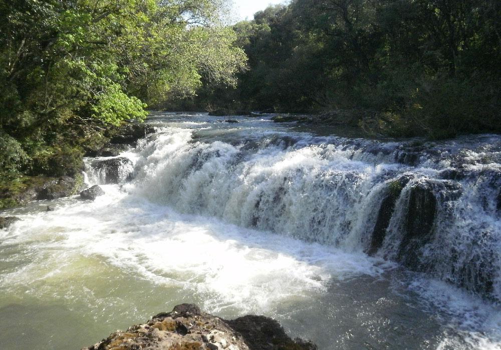 RNRPA - reserva guarani- El Soberbio Misiones