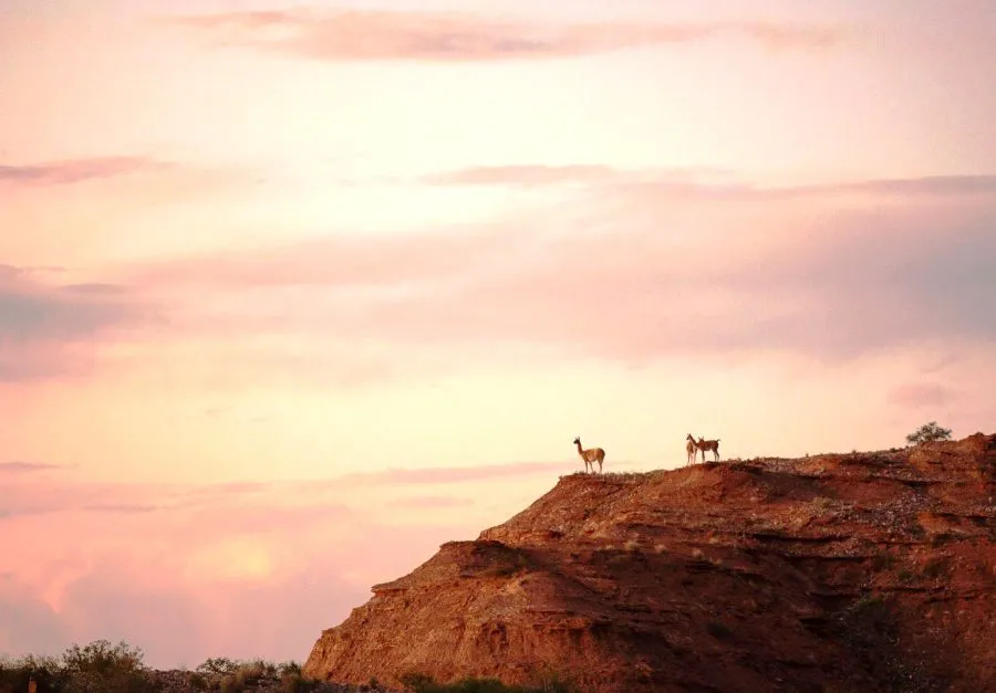 CONEXION-CON-EL-PASADO-2-900x627