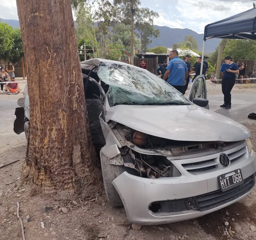 auto arbol san juan