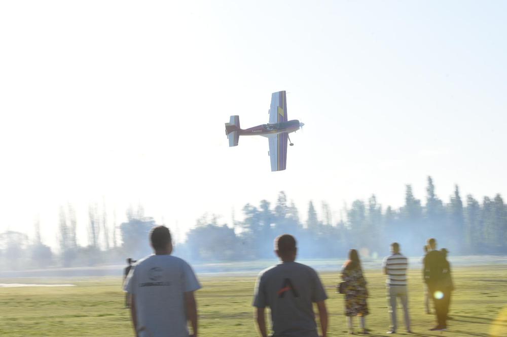avion tecnam (19)