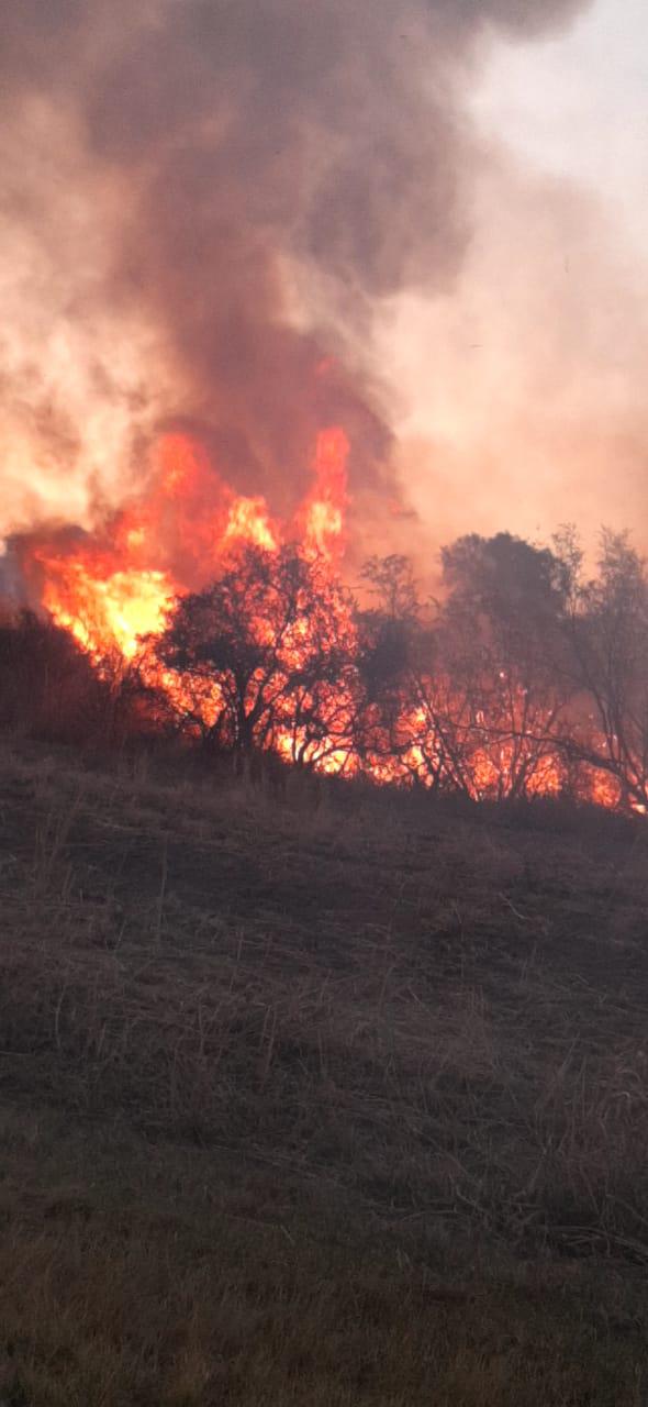 incendios forestales balde de escudero / san luis
