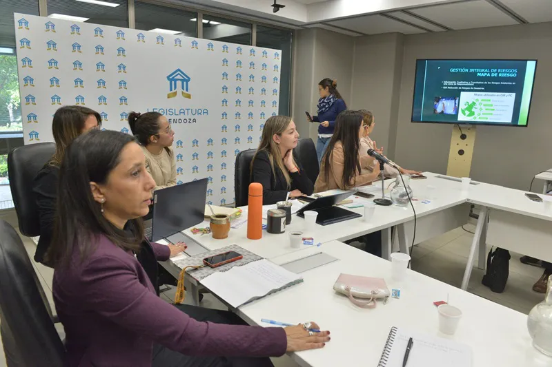 comision ambiente mza 3