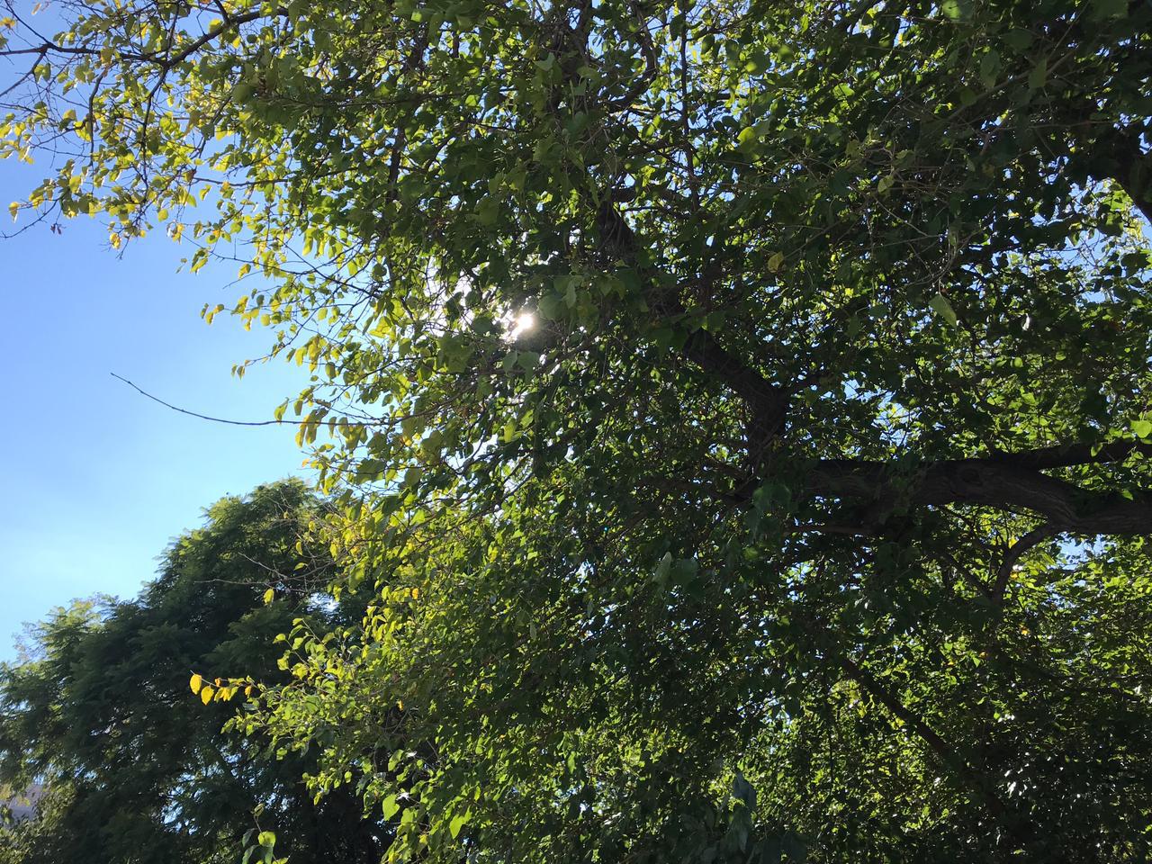cielo despejado y soleado
