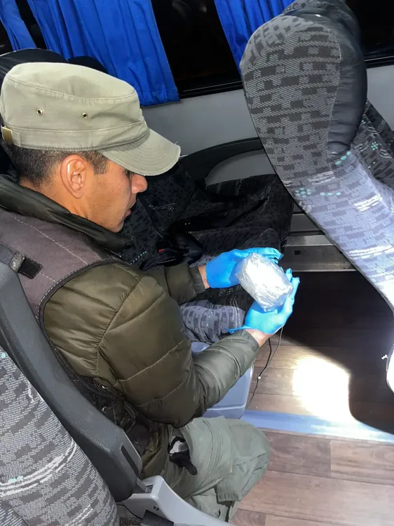 Mendoza paquetes de marihuana en colectivo (2)