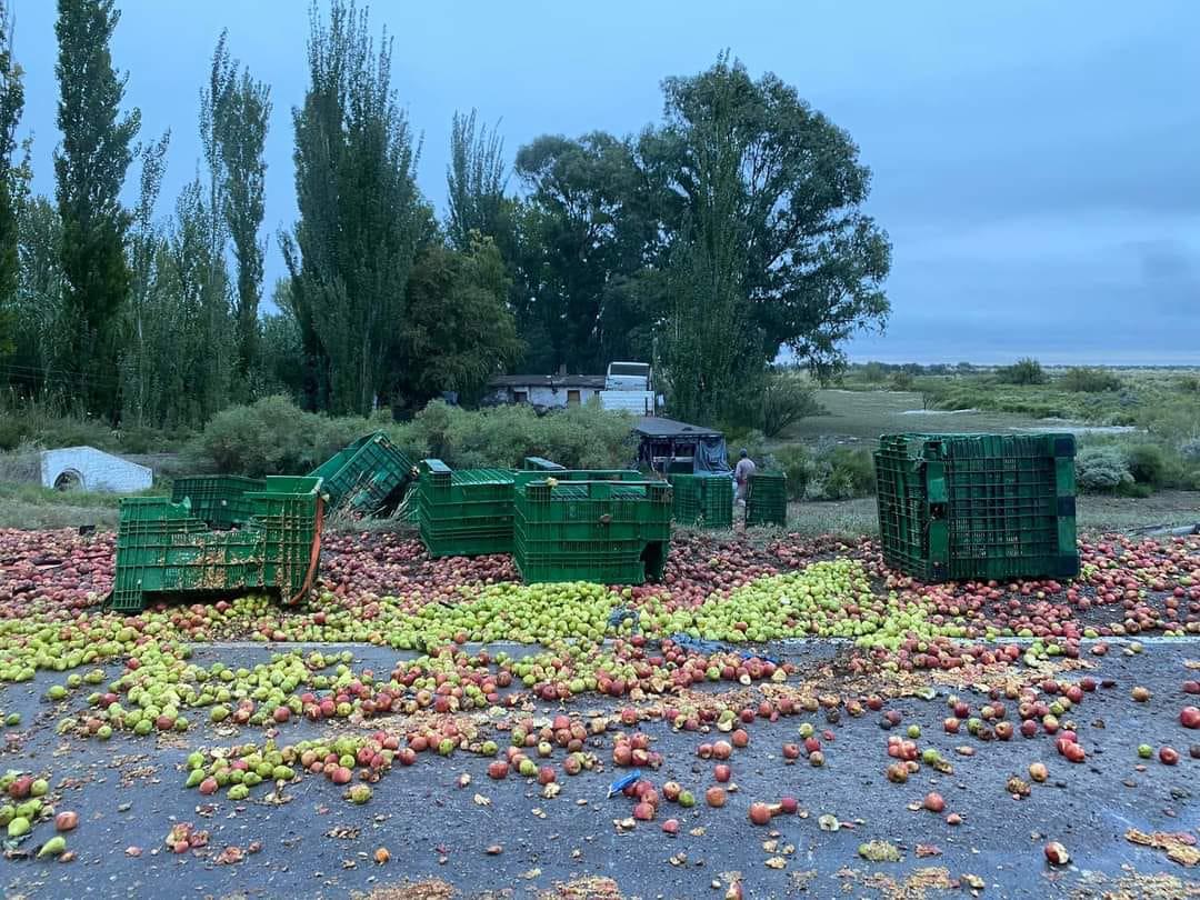 WhatsApp Image 2024-04-12 at 23.23.24 (2)