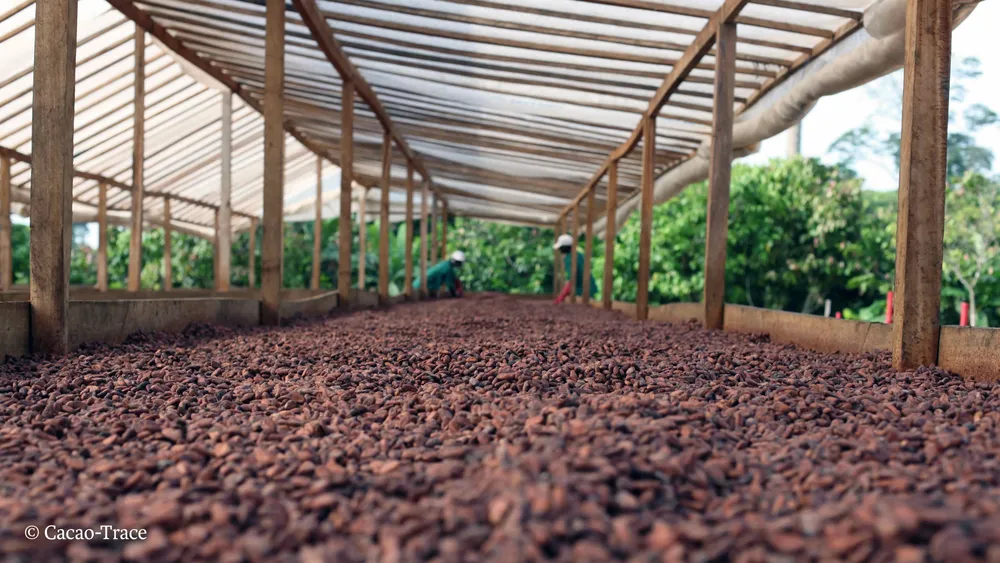 Cacao-Trace Ivory Coast Post harvest center