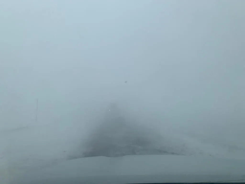 WhatsApp Image 2023-08-20 at 12.52.54 (1)