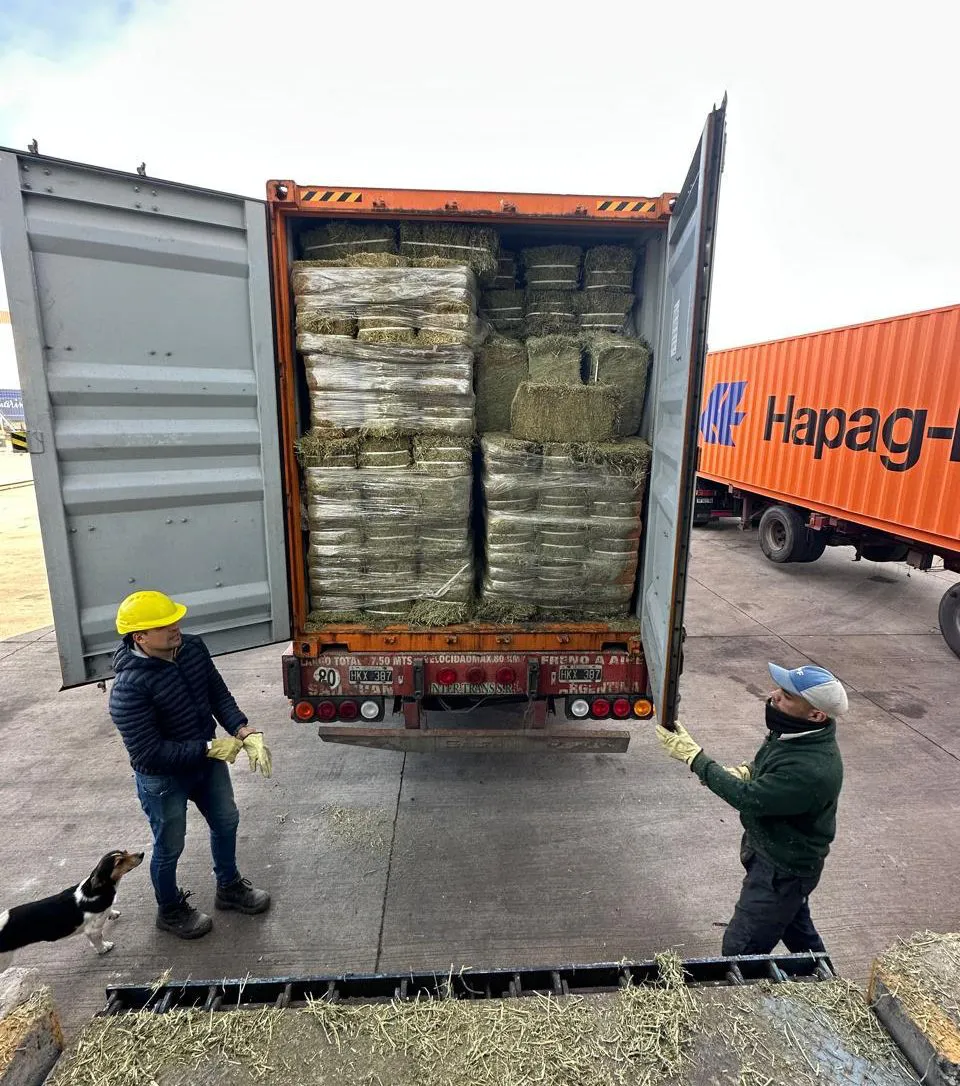 WhatsApp-Image-2025-09-03-at-11.34.19-AM-2-e1758288759356