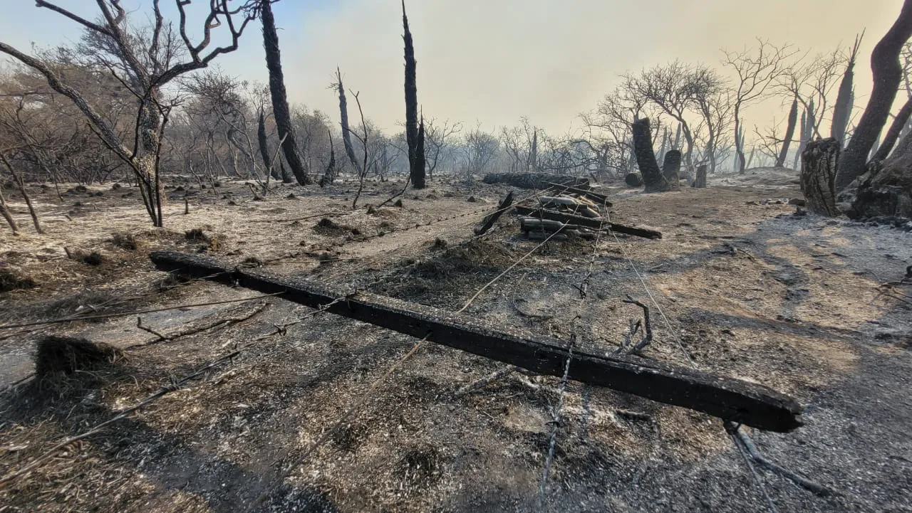 campo arrasado balcarce SL