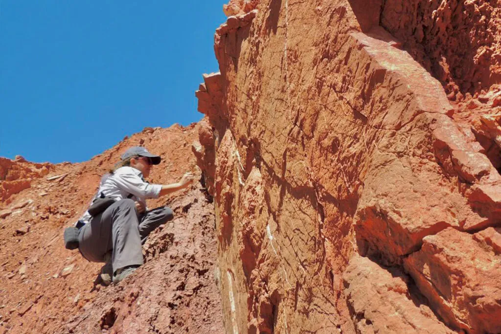 descubrimiento-de-gran-relevancia-1024x683