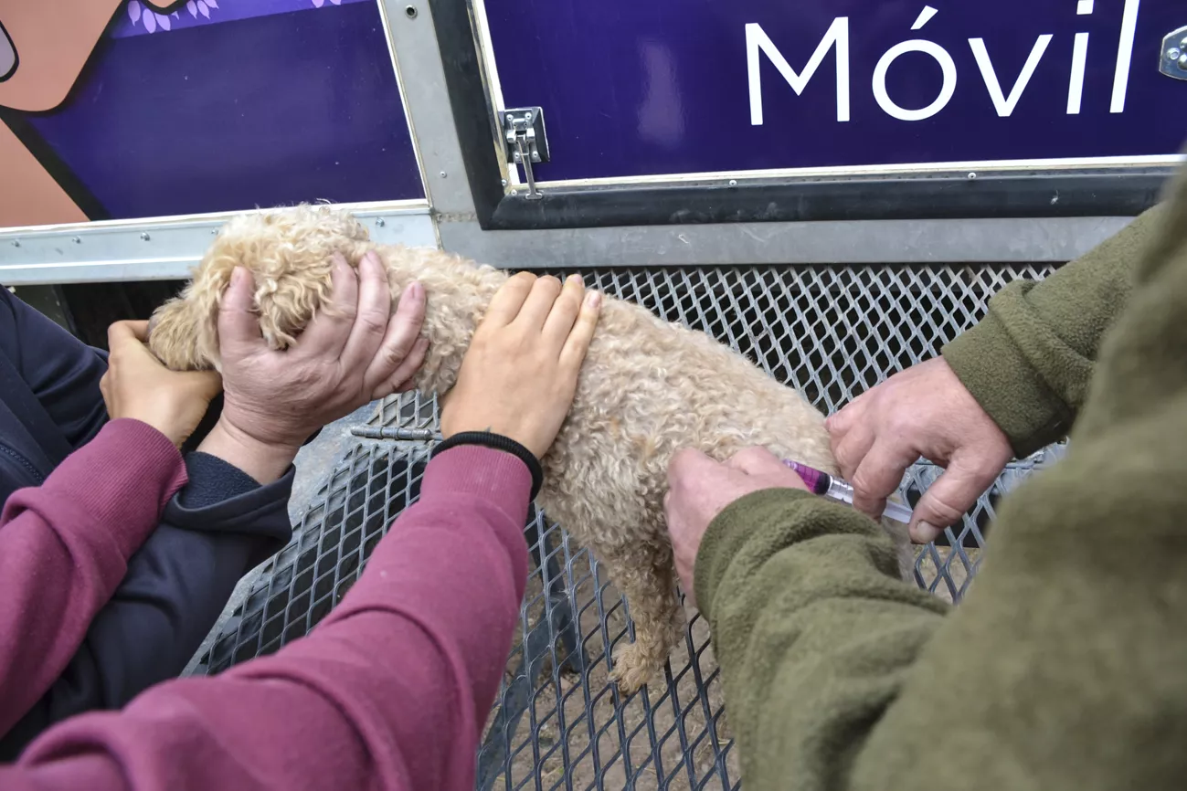 Servicios gratuitos para mascotas (2)