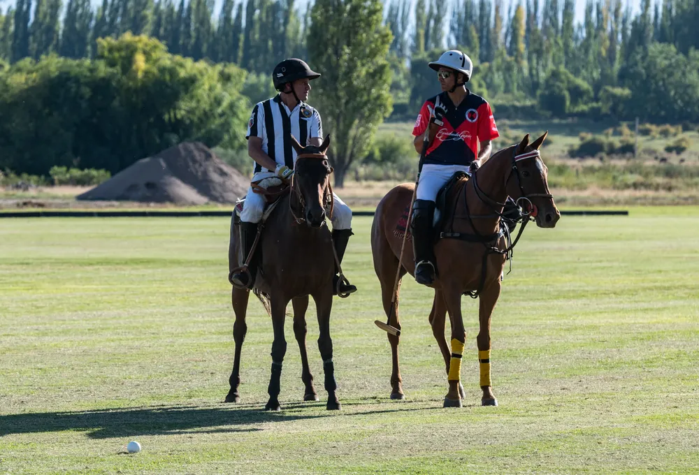 wine polo experience 6