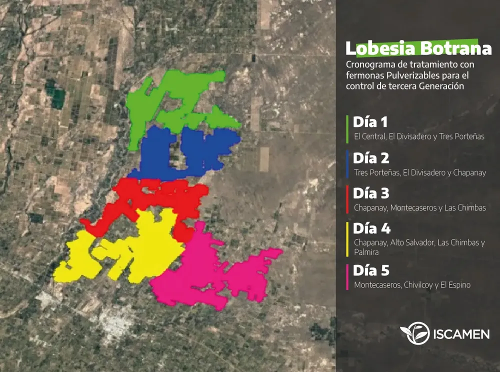 WhatsApp-Image-2024-01-09-at-09.57.46