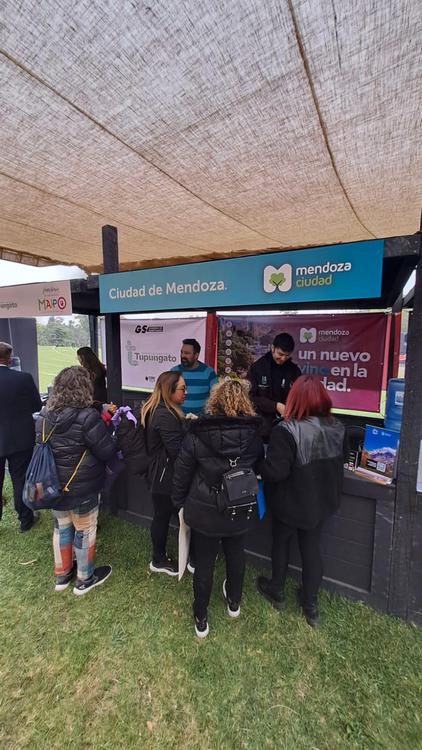 Vendimia del Valle del Maipo 2024