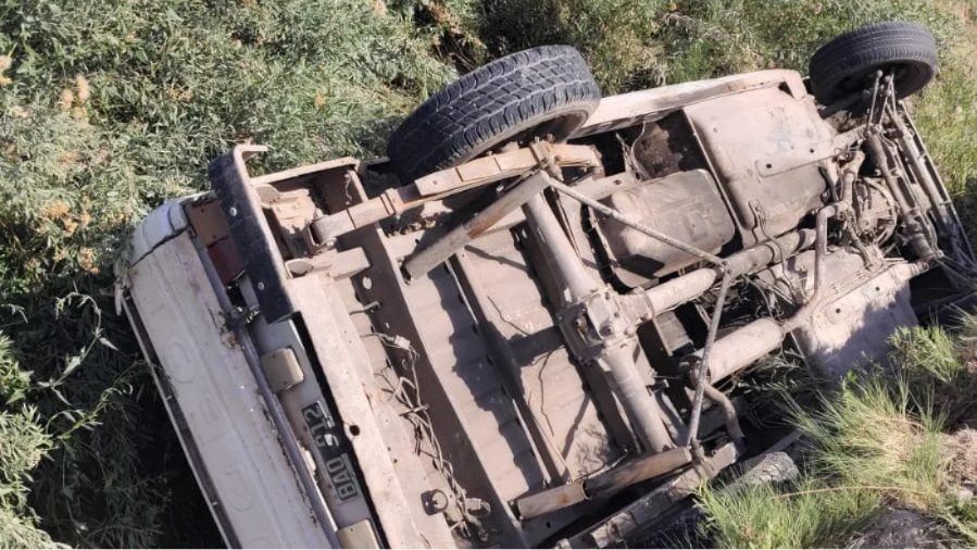 WhatsApp Image 2026-02-11 at 11.31.23 AM