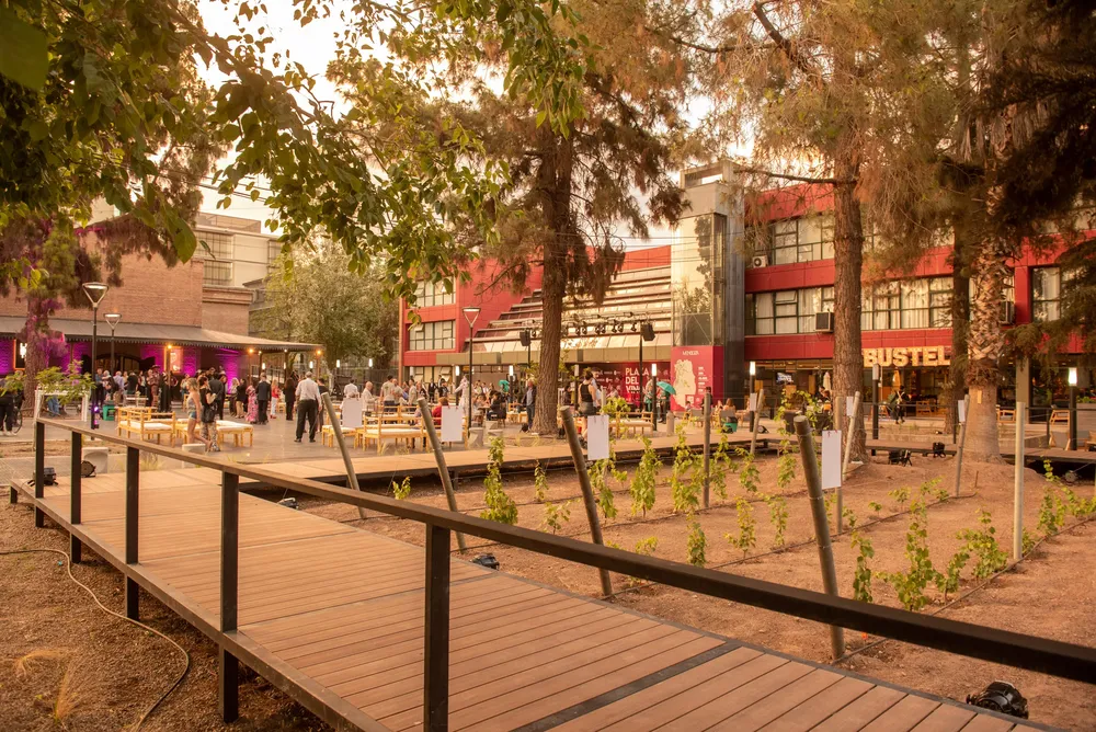 plaza del vino 7