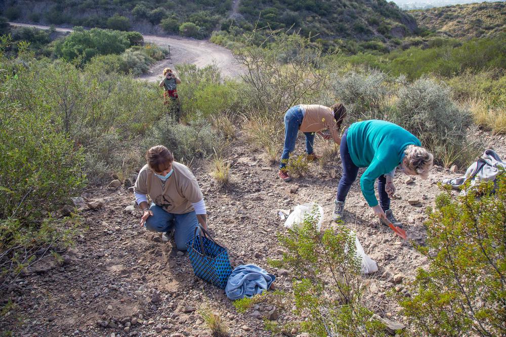 siembra semillas autoctonas 3