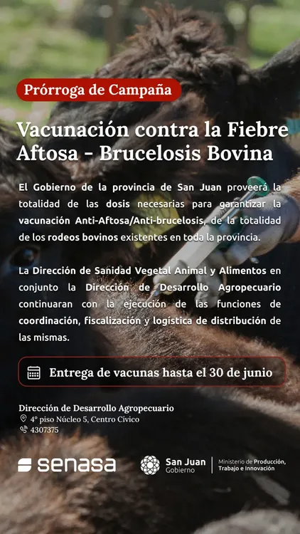 vacunacion aftosa 2