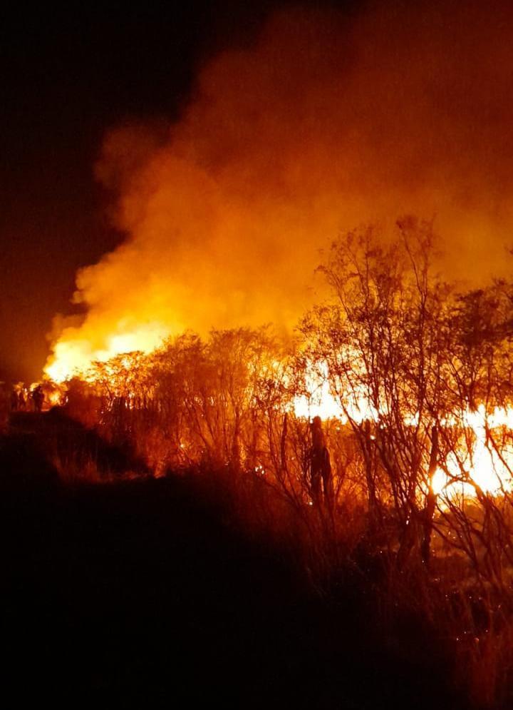 incendios forestales balde de escudero / san luis