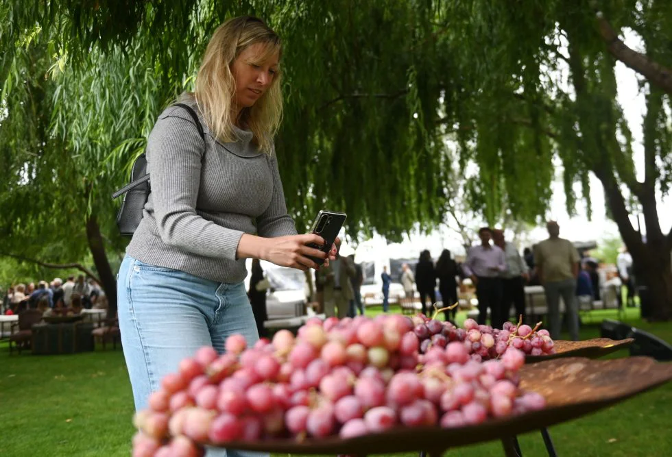 1DSC_9472-980x667