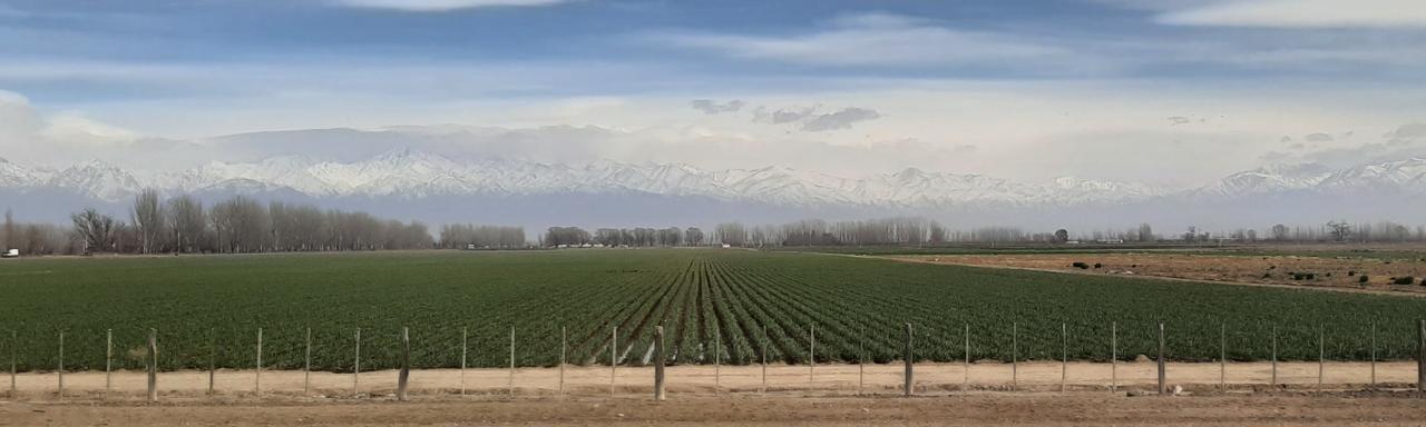 WhatsApp Image 2021-08-28 at 18.54.21