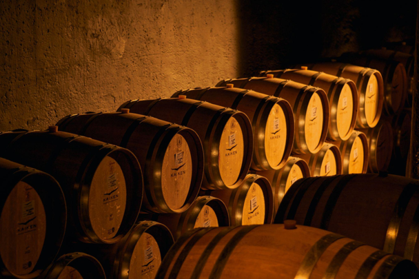 kaiken bodega