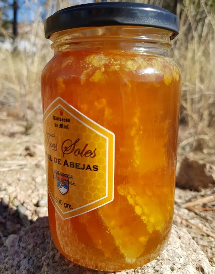 miel-con-panal-1-700x892