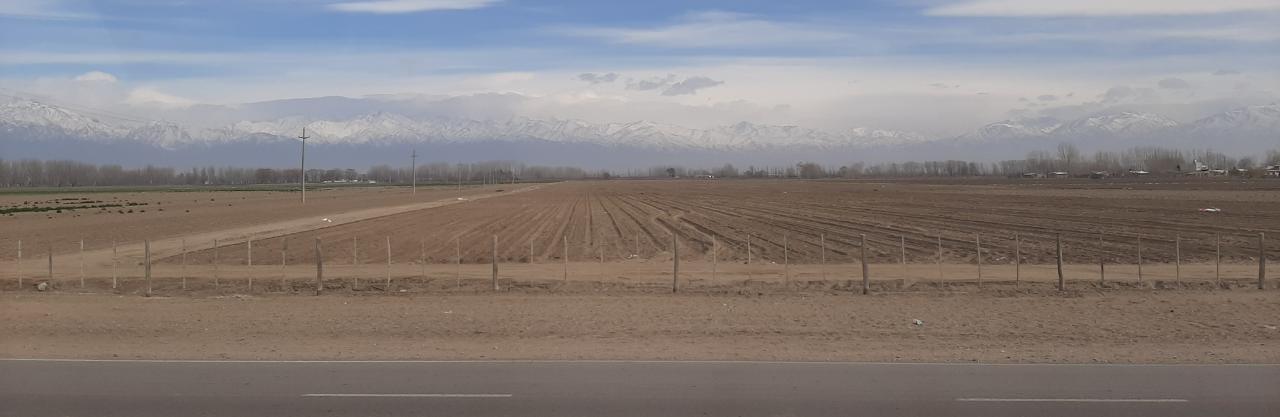 WhatsApp Image 2021-08-28 at 18.53.46